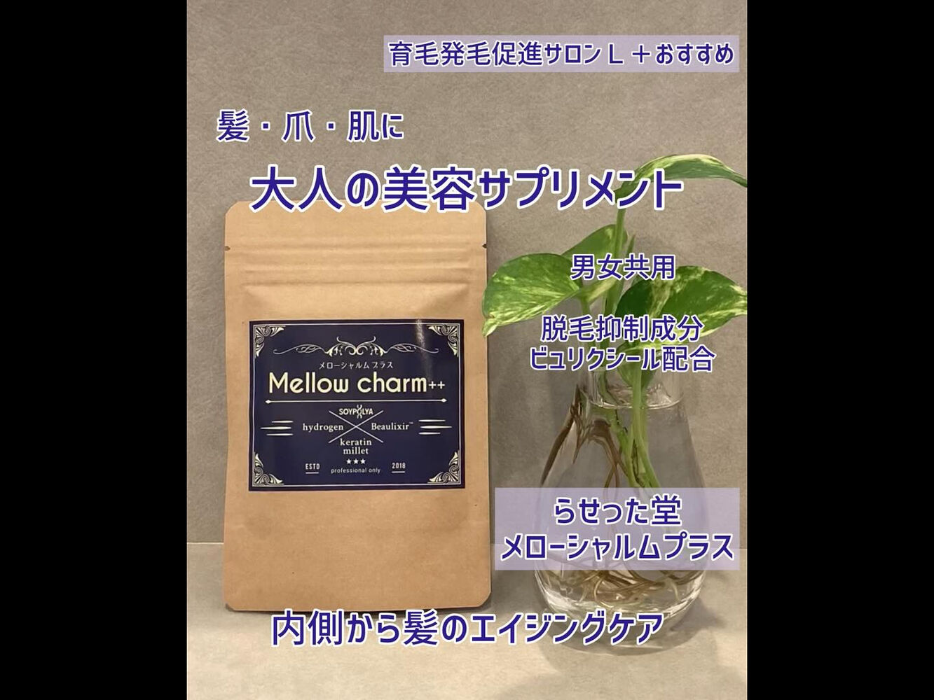 ブログ