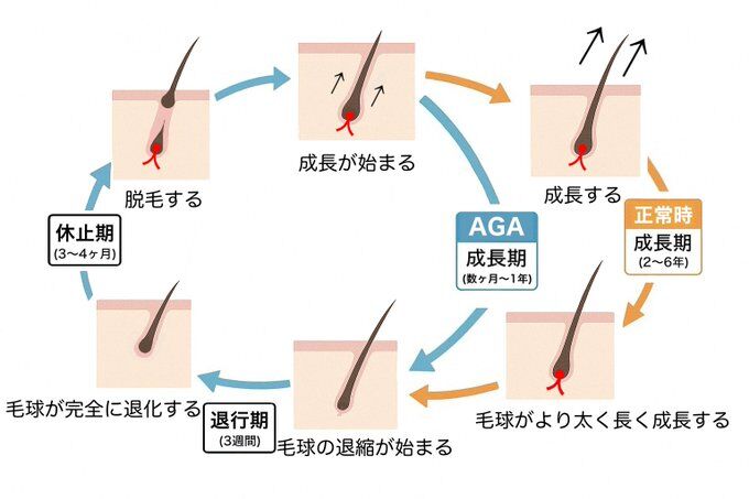 ヘアサイクル.jp