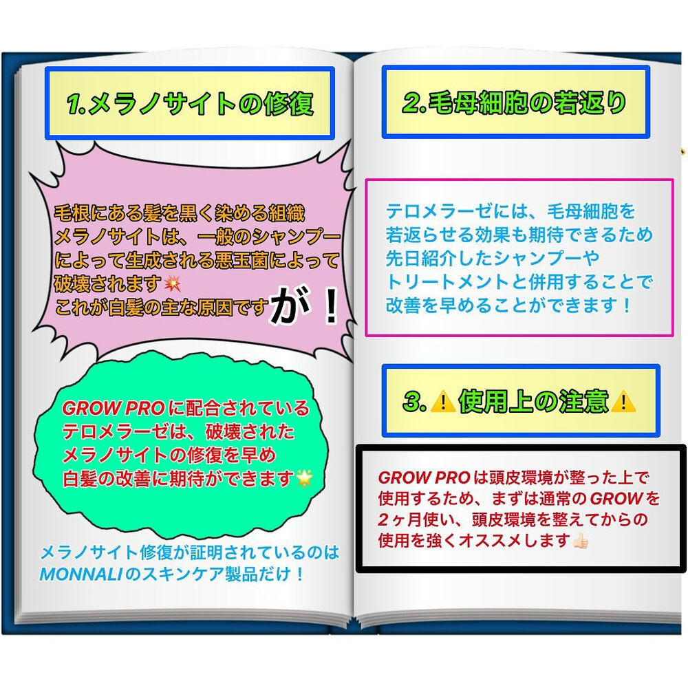 ブログ