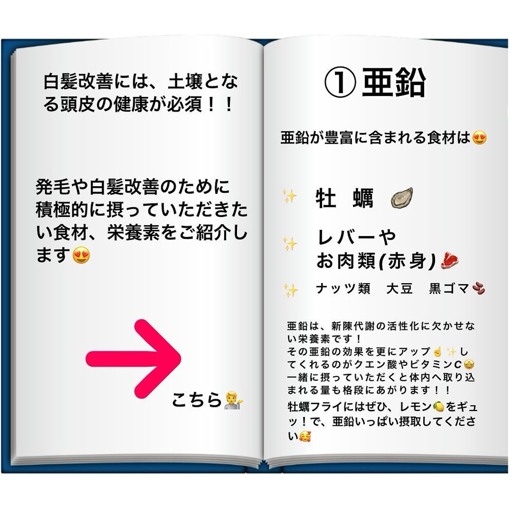 ブログ