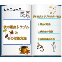 ブログ