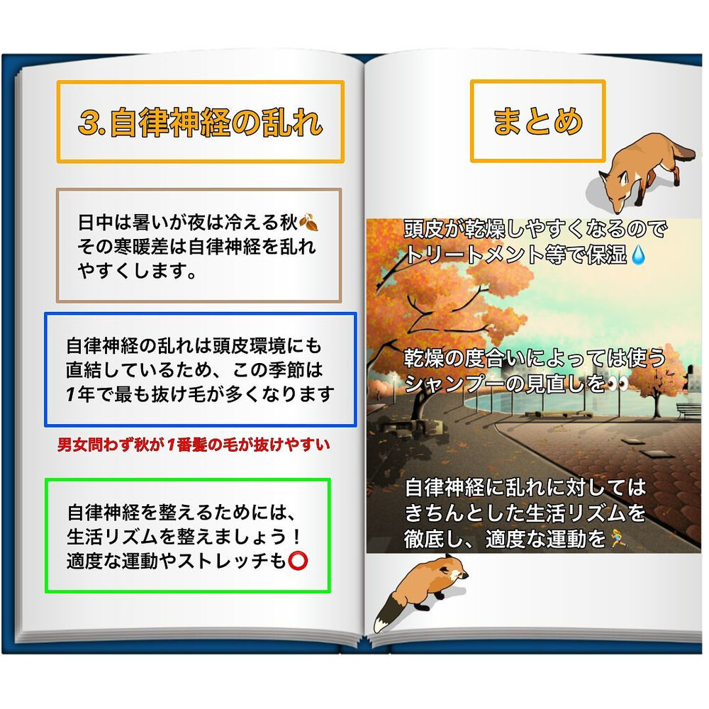 ブログ