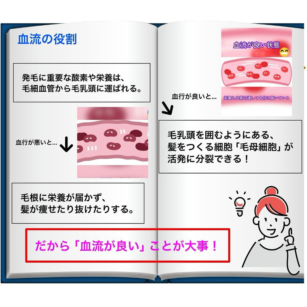 ブログ