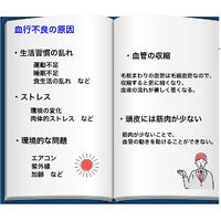 ブログ