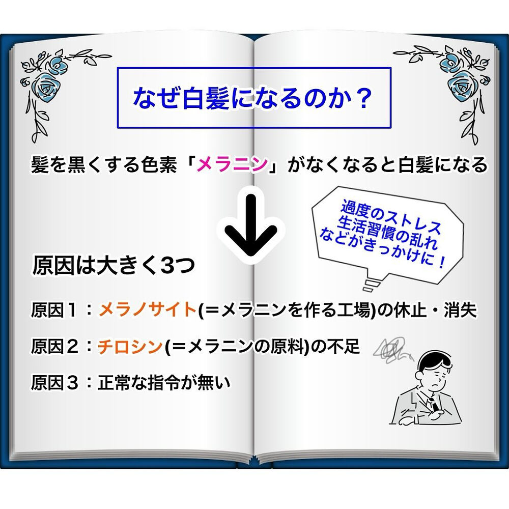 ブログ