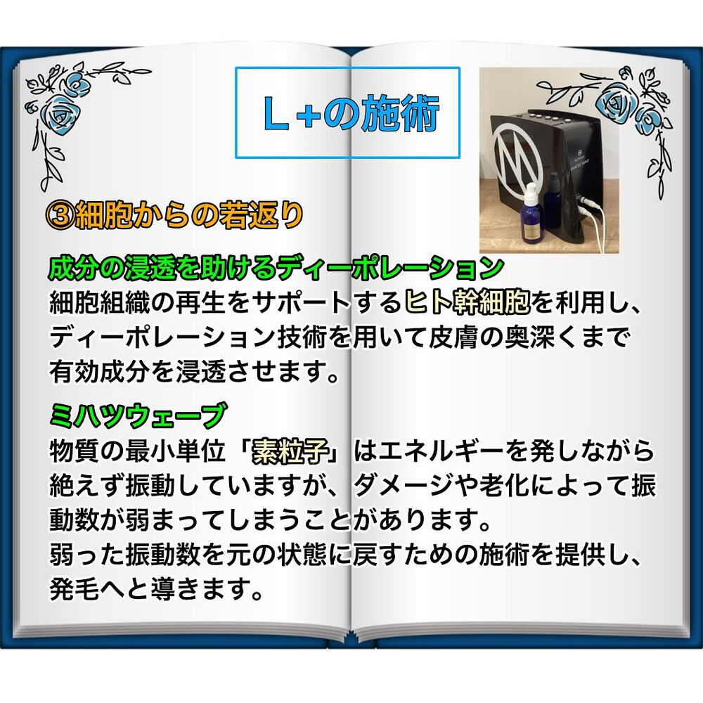 ブログ