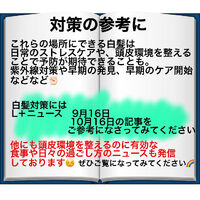 ブログ